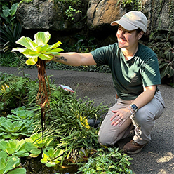 Garden staff member with epiphyte in Climatron